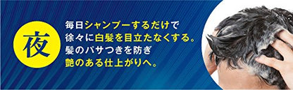 【まとめ買い】サロンドプロ　ナチュラルグレイッシュ　リンスインシャンプー　＜ナチュラルブラック＞ 250ML容量250ML×27点セット ダリヤ
