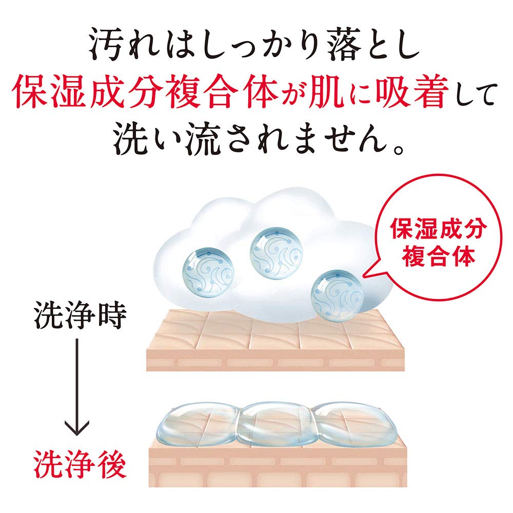 【まとめ買い】ｈａｄａｋａｒａボディーソープ　リッチソープの香り　本体 容量500ML×12点セット ライオン ボディソープ
