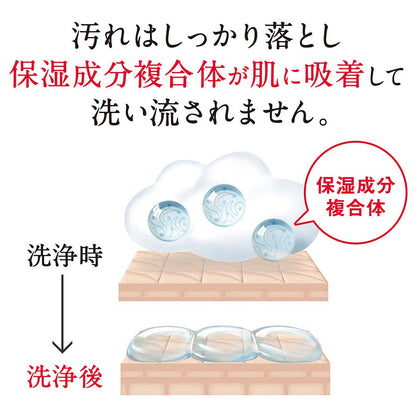 【まとめ買い】ｈａｄａｋａｒａボディーソープ　リッチソープの香り　詰め替え 容量360ML×16点セット ライオン ボディソープ