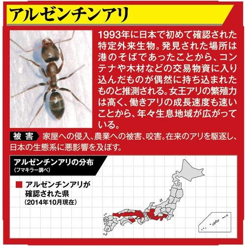 【まとめ買い】アルゼンチンアリウルトラ巣ごと退治 容量20個×12点セット フマキラー 殺虫剤・アリ