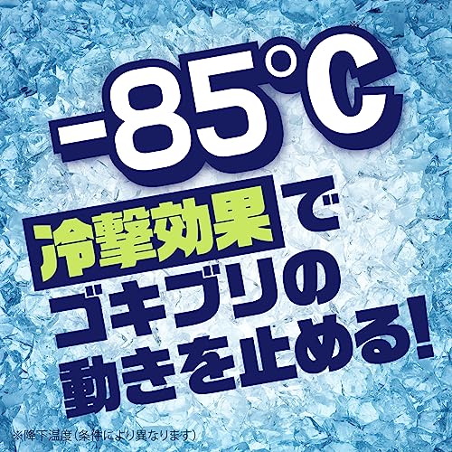 【まとめ買い】ナチュラス　凍らすジェット　ゴキブリ秒殺　２００ｍＬ 容量200ML×20点セット アース製薬 殺虫剤・ゴキブリ
