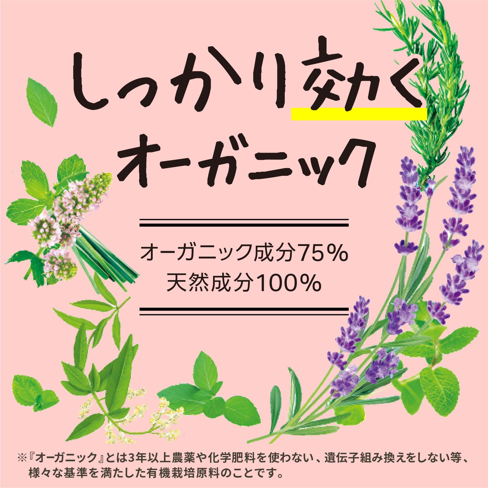 【まとめ買い】ＮＡＴＵＶＯクローゼット用３個入 容量3個×20点セット アース製薬 防虫剤