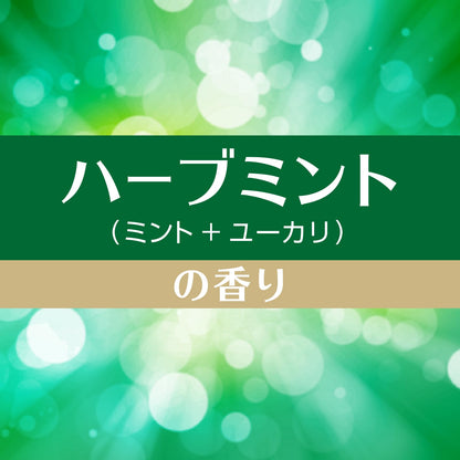 【まとめ買い】お部屋のスッキーリ！ハーブミントの香り 容量400ML×16点セット アース製薬 芳香剤・部屋用