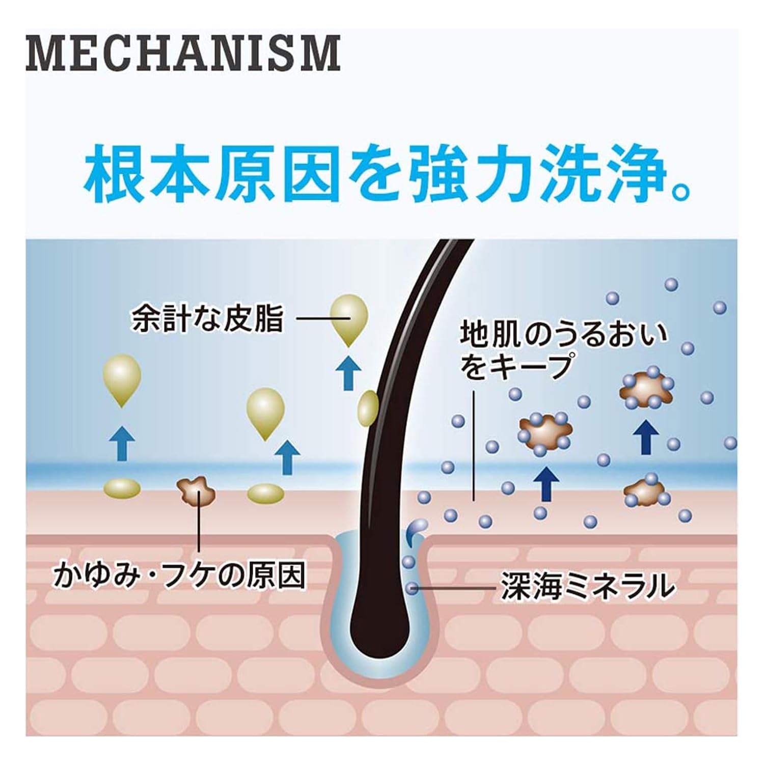 【まとめ買い】ｈ＆ｓｆｏｒｍｅｎスカルプＥＸシャンプーつめかえ 容量300ML×12点セット Ｐ＆Ｇ シャンプー