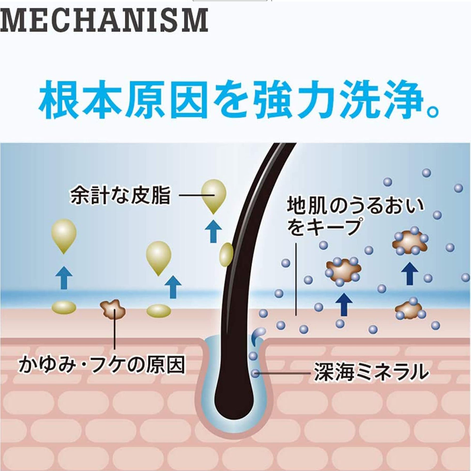【まとめ買い】ｈ＆ｓｆｏｒｍｅｎボリュームアップコンディショナーつめかえ 容量300G×12点セット コンディショナー・リンス