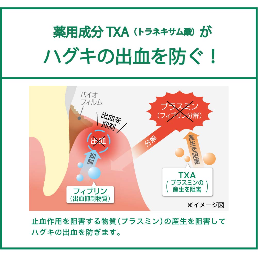 【まとめ買い】ガム歯周プロケアペースト 容量90G×10点セット サンスター 歯磨き