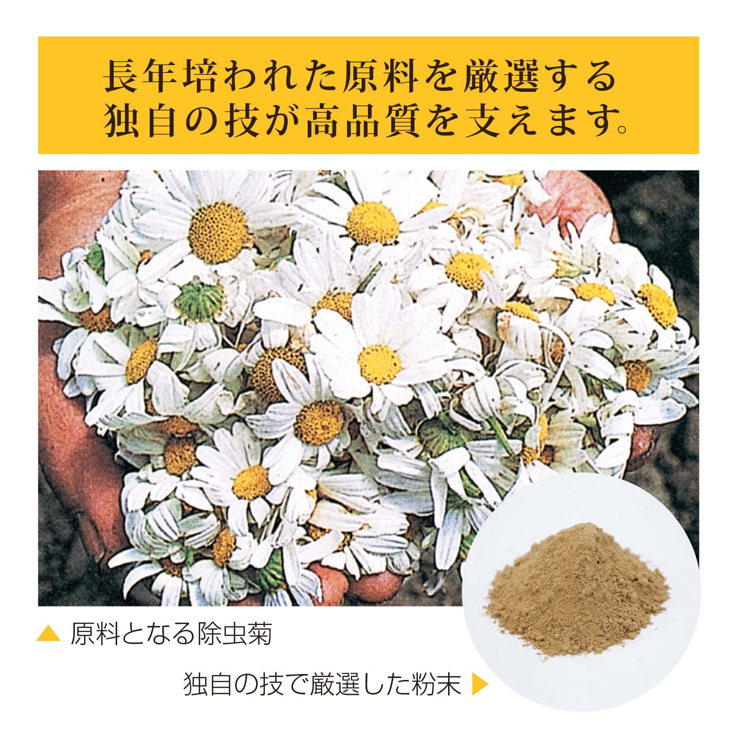 【まとめ買い】天然蚊取り線香　プレミアム　４巻 容量4枚×12点セット 小久保工業所 殺虫剤・ハエ・蚊