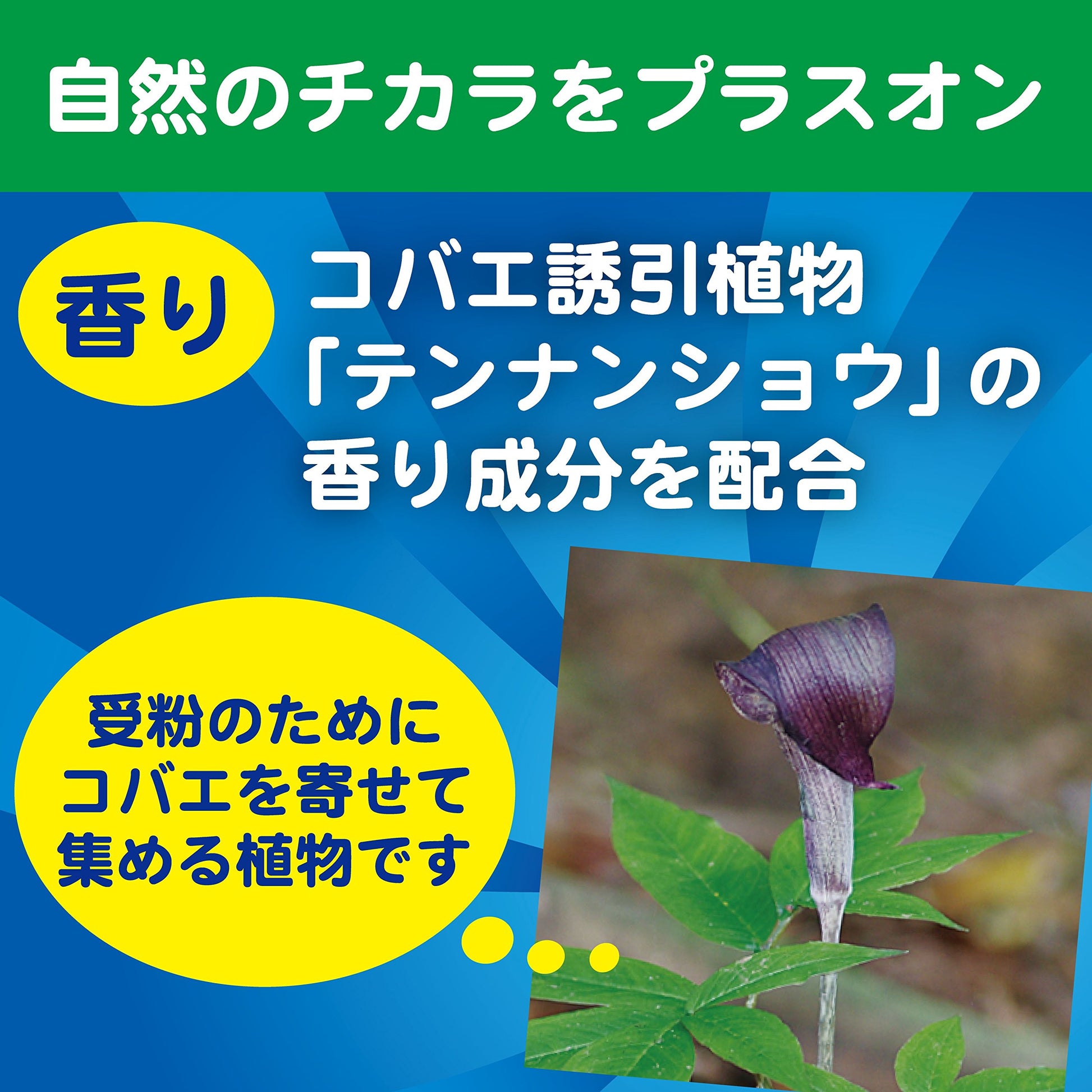 【まとめ買い】コバエがポットン　吊るタイプＴ　２個入 容量2個×6点セット 大日本除虫菊（金鳥） 殺虫剤・コバエ
