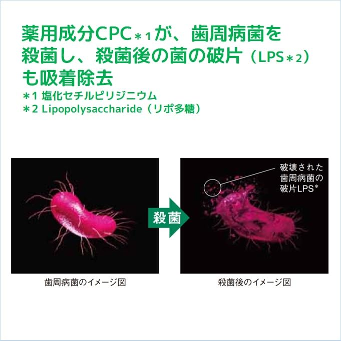 【まとめ買い】ガム・デンタルペースト箱１５５Ｇ 容量155G×10点セット サンスター 歯磨き