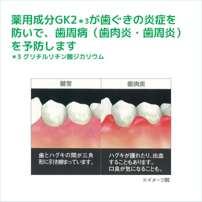【まとめ買い】ガム・デンタルペースト箱１５５Ｇ 容量155G×10点セット サンスター 歯磨き