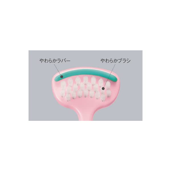 【まとめ買い】バトラーやさしい舌ブラシやわらかタイプ 容量1本×12点セット サンスター 舌クリーナー