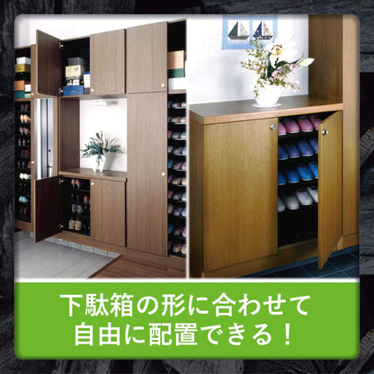 【まとめ買い】エステー　脱臭炭こわけ下駄箱用