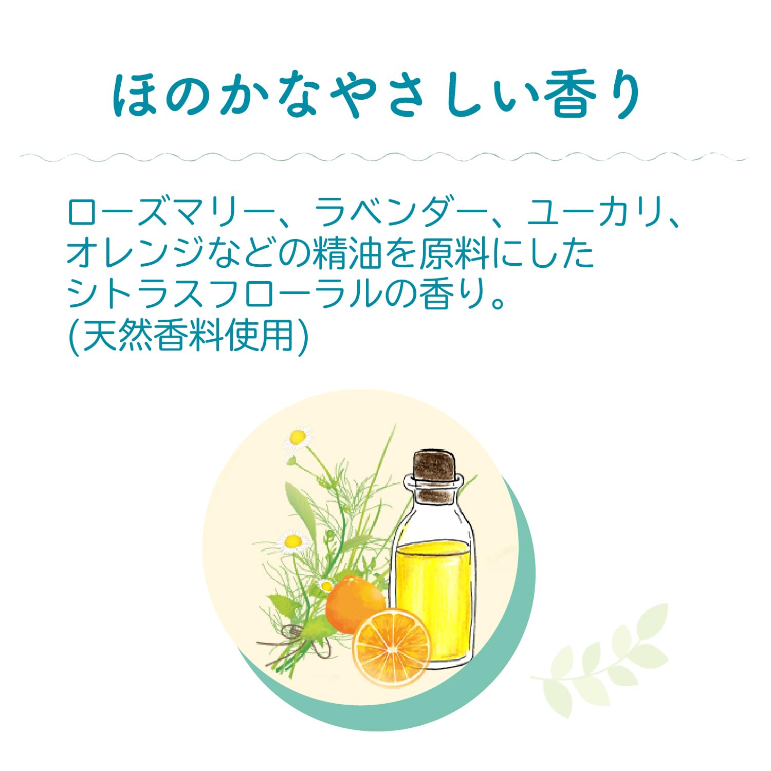 【まとめ買い】パックスナチュロンリンス詰替５００ＭＬ　Ｎ 容量500ML×12点セット 太陽油脂 コンディショナー・リンス