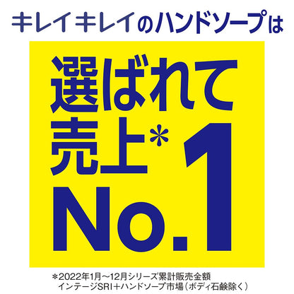 【まとめ買い】キレイキレイ泡ハンドソープ　２Ｌ 容量2L×6点セット ライオンハイジーン ハンドソープ