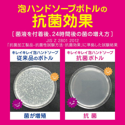 【まとめ買い】キレイキレイ泡ハンドソープ　２Ｌ 容量2L×6点セット ライオンハイジーン ハンドソープ