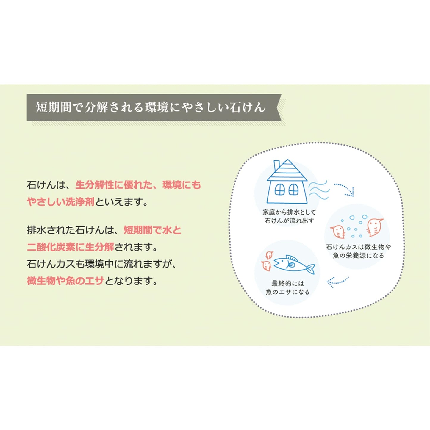 【まとめ買い】シャボン玉スノール本体 容量1000ML×12点セット シャボン玉販売 衣料用洗剤・自然派