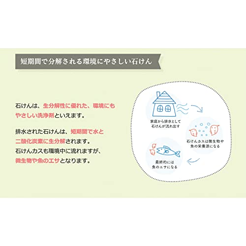 【まとめ買い】シャボン玉スノールつめかえ用 容量800ML×12点セット シャボン玉販売 衣料用洗剤・自然派