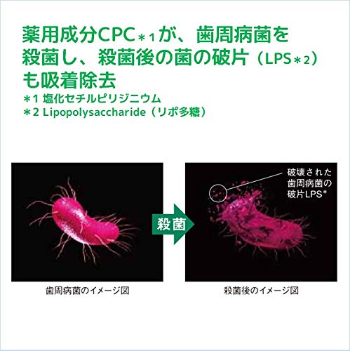 【まとめ買い】ガム・デンタルペースト　スタンディング　１２０ｇ 容量120G×12点セット サンスター 歯磨き
