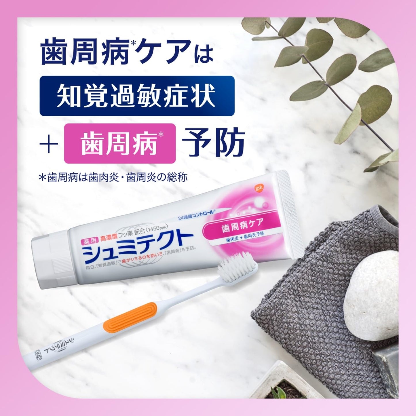 【まとめ買い】薬用シュミテクト　歯周病ケア　９０ｇ 容量90G×6点セット グラクソスミスクライン 歯磨き