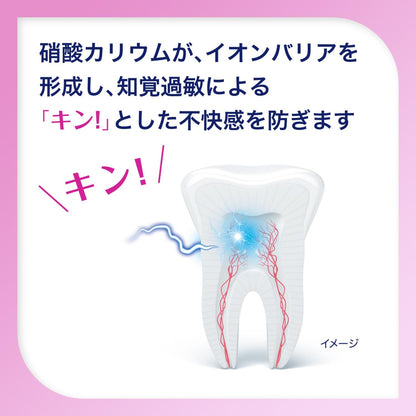 【まとめ買い】薬用シュミテクト　歯周病ケア　９０ｇ 容量90G×6点セット グラクソスミスクライン 歯磨き