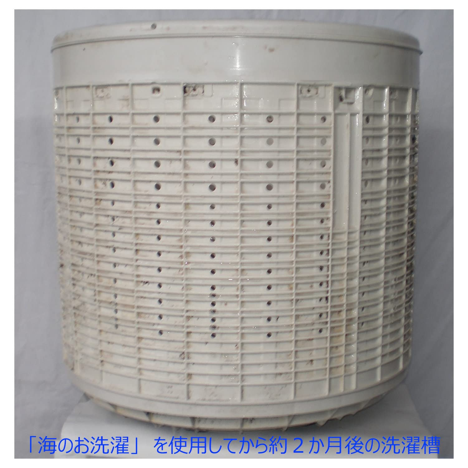 【まとめ買い】ホタテの力くん「海のお洗濯　洗濯物の除菌・消臭」 容量90G×24点セット 日本漢方研究所 衣料用洗剤・自然派
