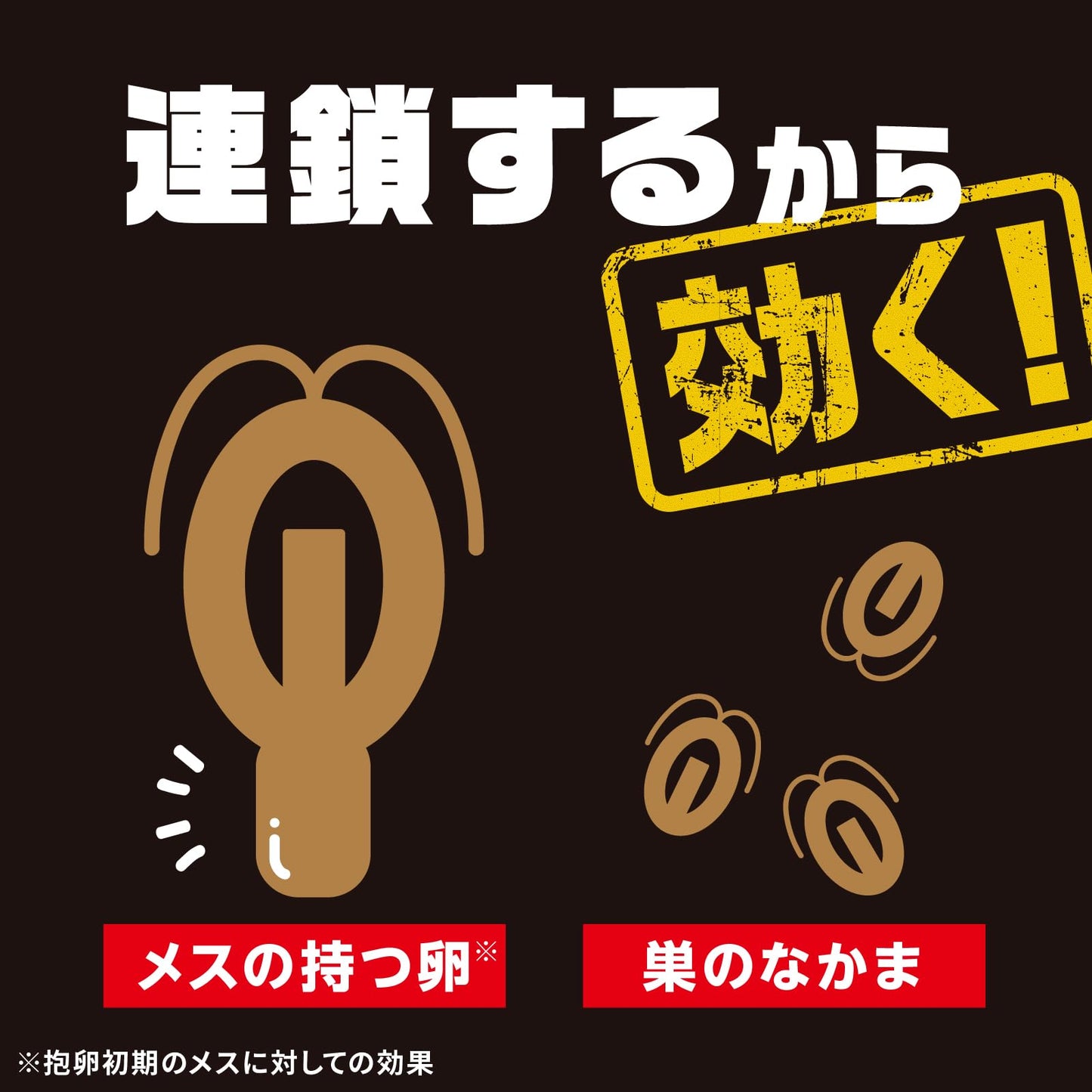 【まとめ買い】ブラックキャップ　屋外用容量12G×24点セット アース製薬 殺虫剤・ゴキブリ