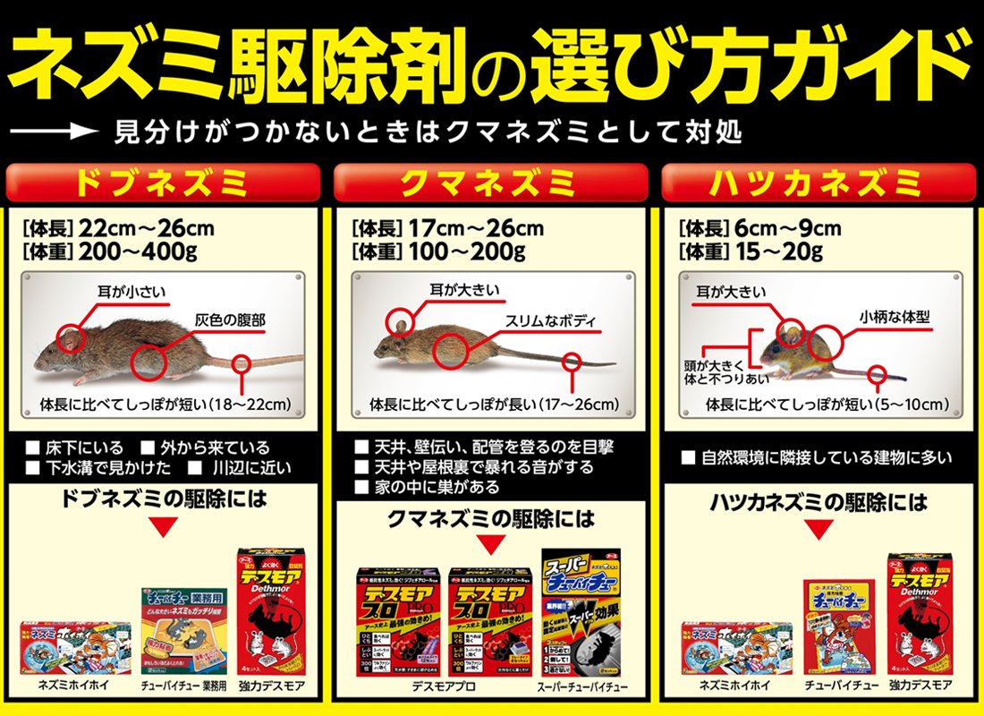 【まとめ買い】ネズミホイホイ 容量2セット×20点セット アース製薬 殺虫剤・ネズミ