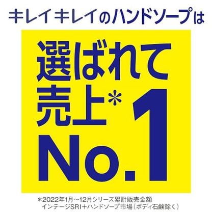 【まとめ買い】キレイキレイ泡ハンドソープ　４Ｌ 容量4L×3点セット ライオンハイジーン ハンドソープ