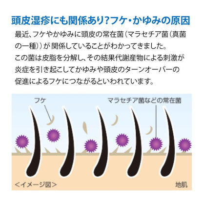 【まとめ買い】メディクイックＨ　頭皮のメディカルＳＰ　かえ 容量280ML×24点セット ロート製薬 シャンプー