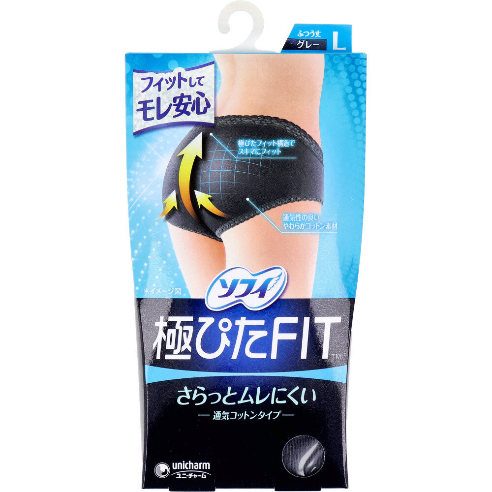 【まとめ買い】ソフィ　極ぴたＦＩＴナチュラルフィットＬブルーグレー 容量1個×12点セット 生理用品