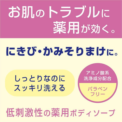 【まとめ買い】薬用ソフレ　乾燥肌ケアボディソープ 容量550ML×12点セット バスクリン ボディソープ