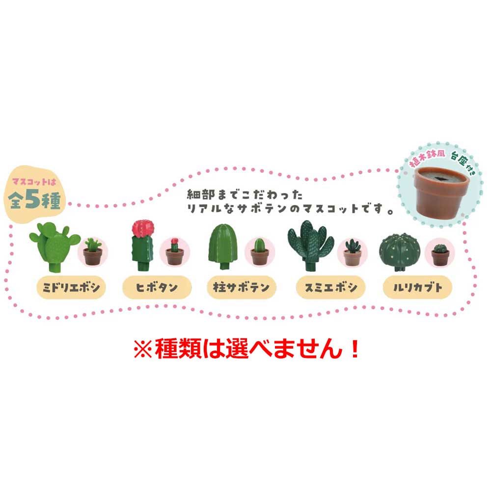 写実シリーズ サボテン バスボール リラックスできるグリーンの香り 50g 1回分