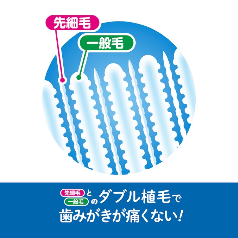 エジソンの仕上げ歯ブラシ ２本入