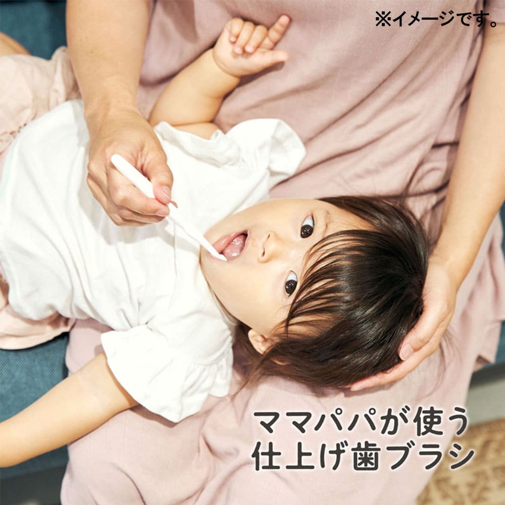 エジソンの仕上げ歯ブラシ ２本入