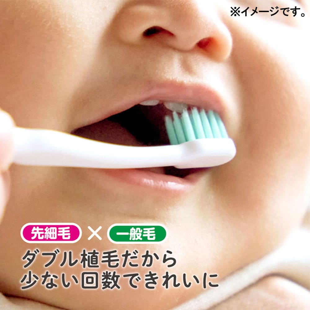 エジソンの仕上げ歯ブラシ ２本入
