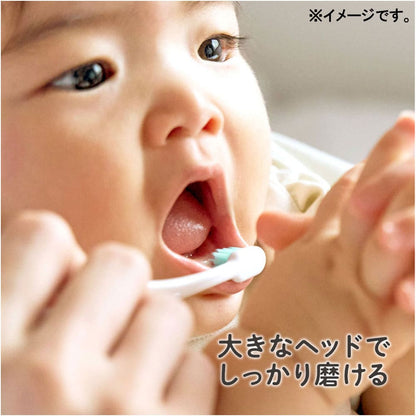 エジソンの仕上げ歯ブラシ ２本入