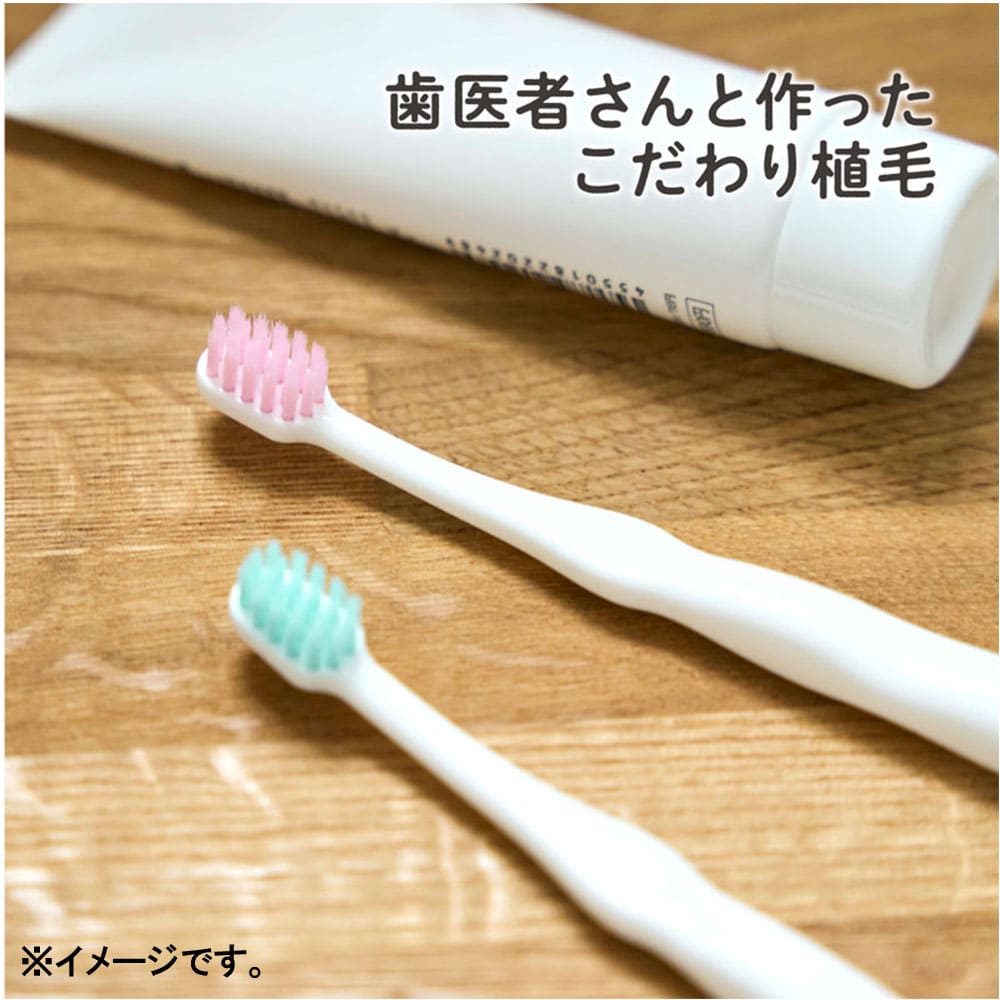 エジソンの仕上げ歯ブラシ ２本入