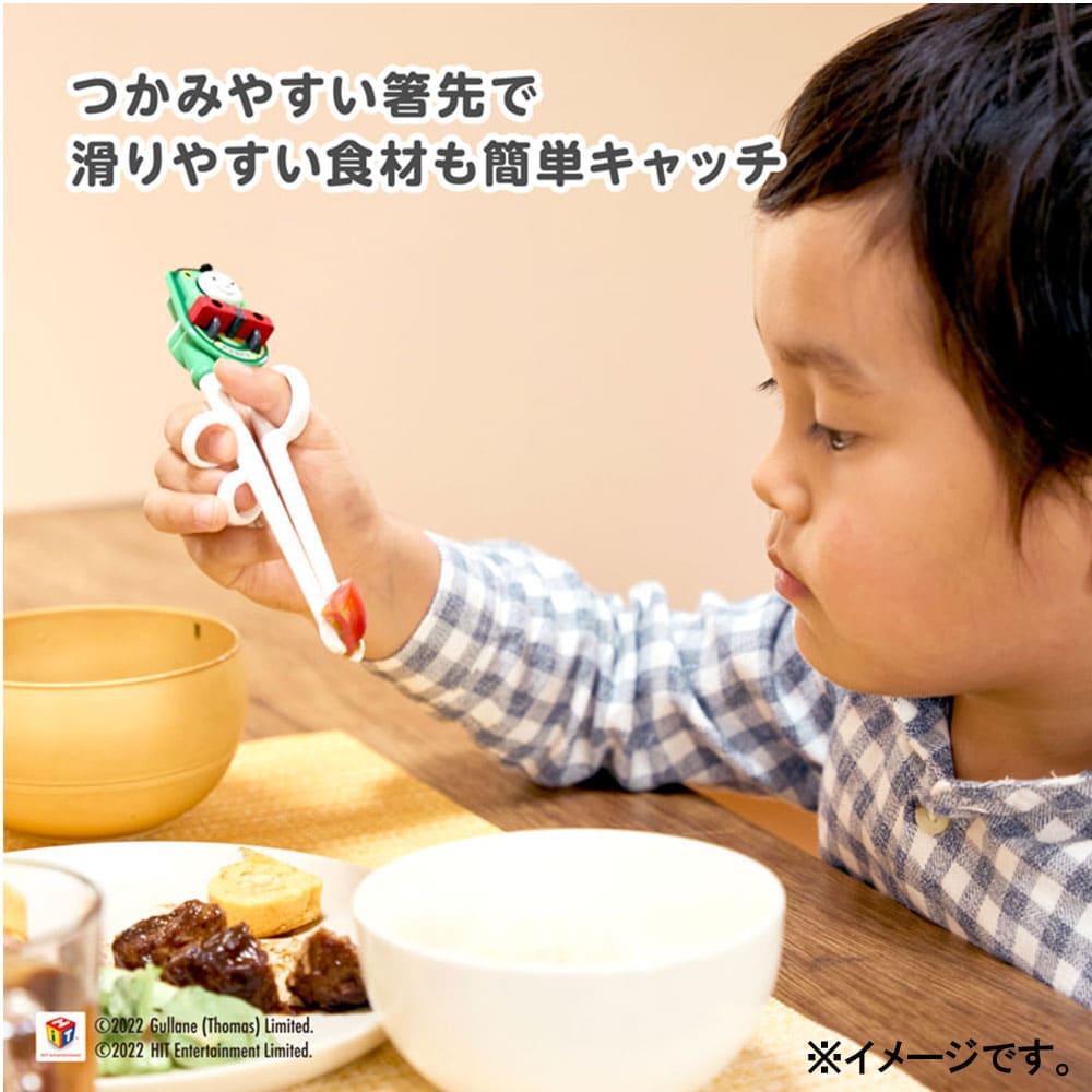 エジソンのお箸 パーシー （ケース付き） 右手用