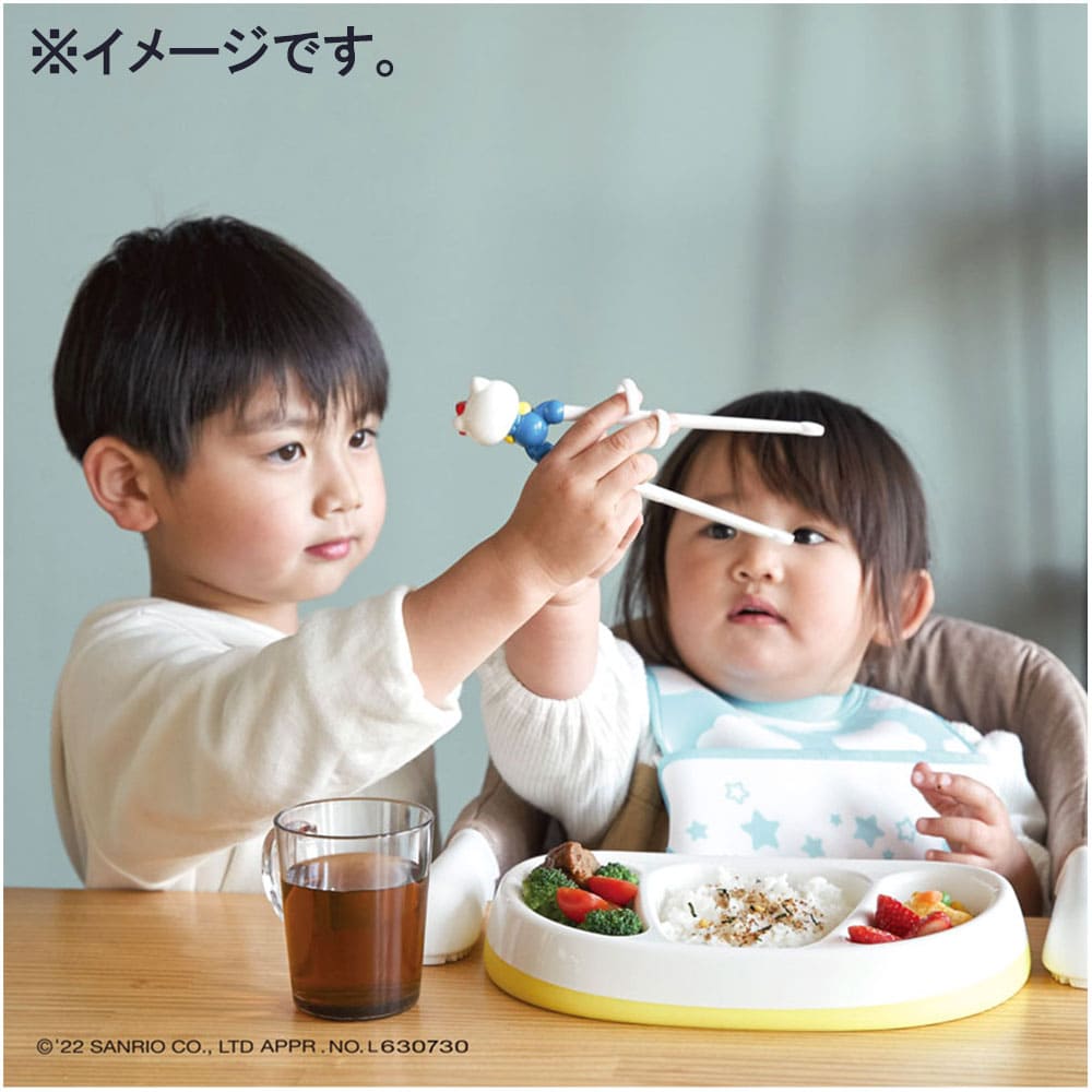 エジソンのお箸1 ハローキティ ケース付 右手用