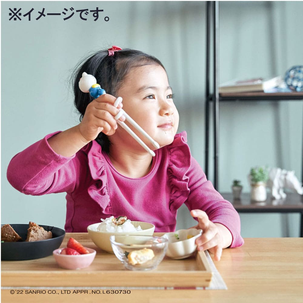 エジソンのお箸1 ハローキティ ケース付 左手用