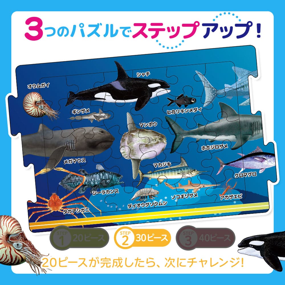 つなげるパズル図鑑 海のいきもの 1セット