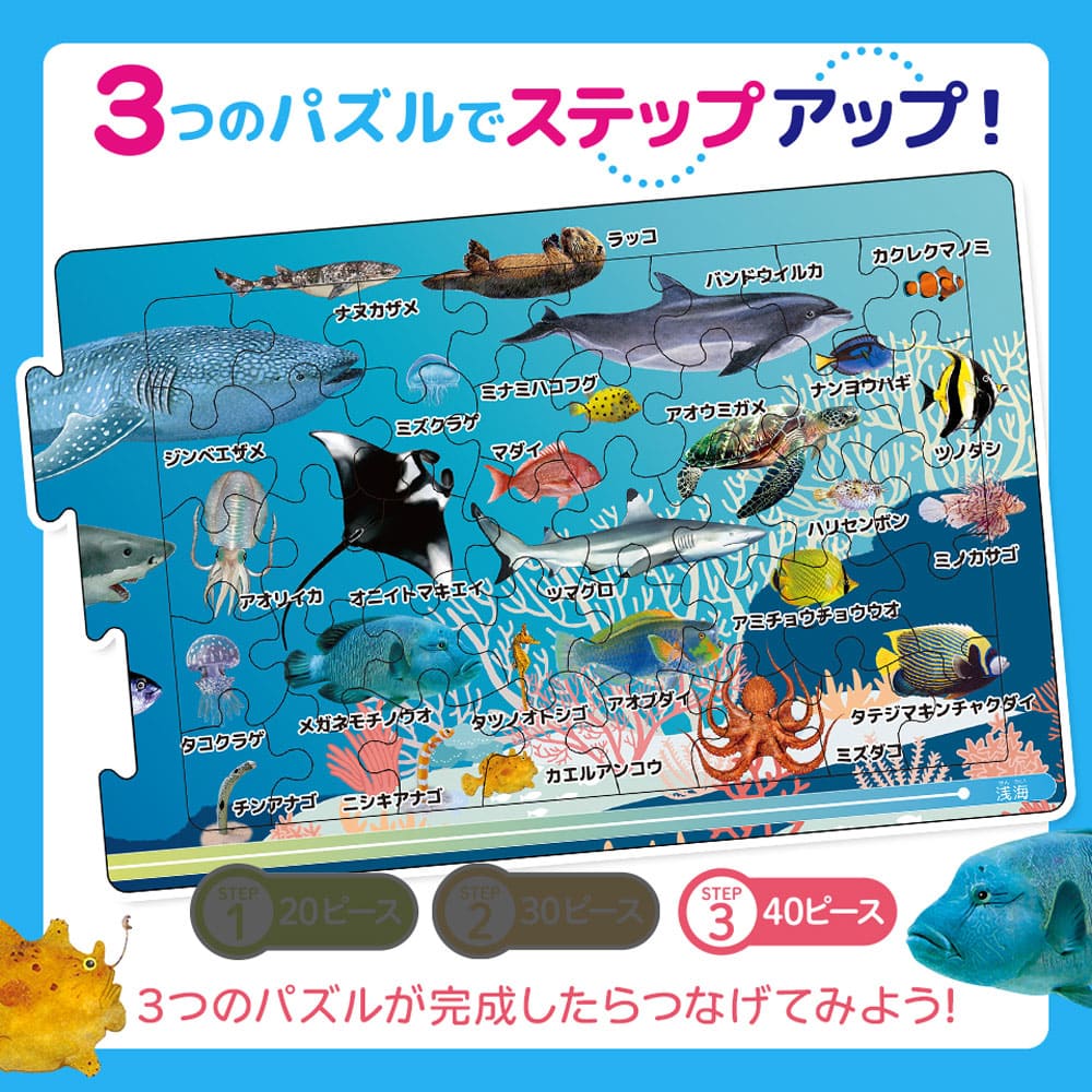 つなげるパズル図鑑 海のいきもの 1セット