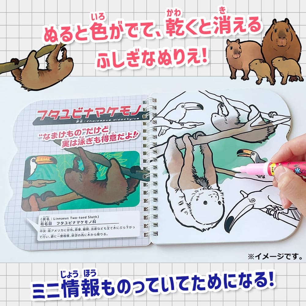 水ぬりえ モフかわどうぶつ図鑑 1セット