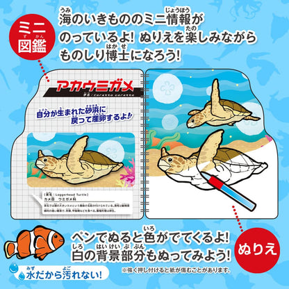 水ぬりえ 海のいきもの図鑑 1セット