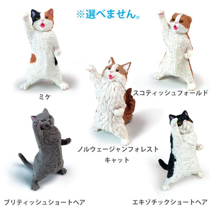 フィギュア NYAoooo！！ 1個入