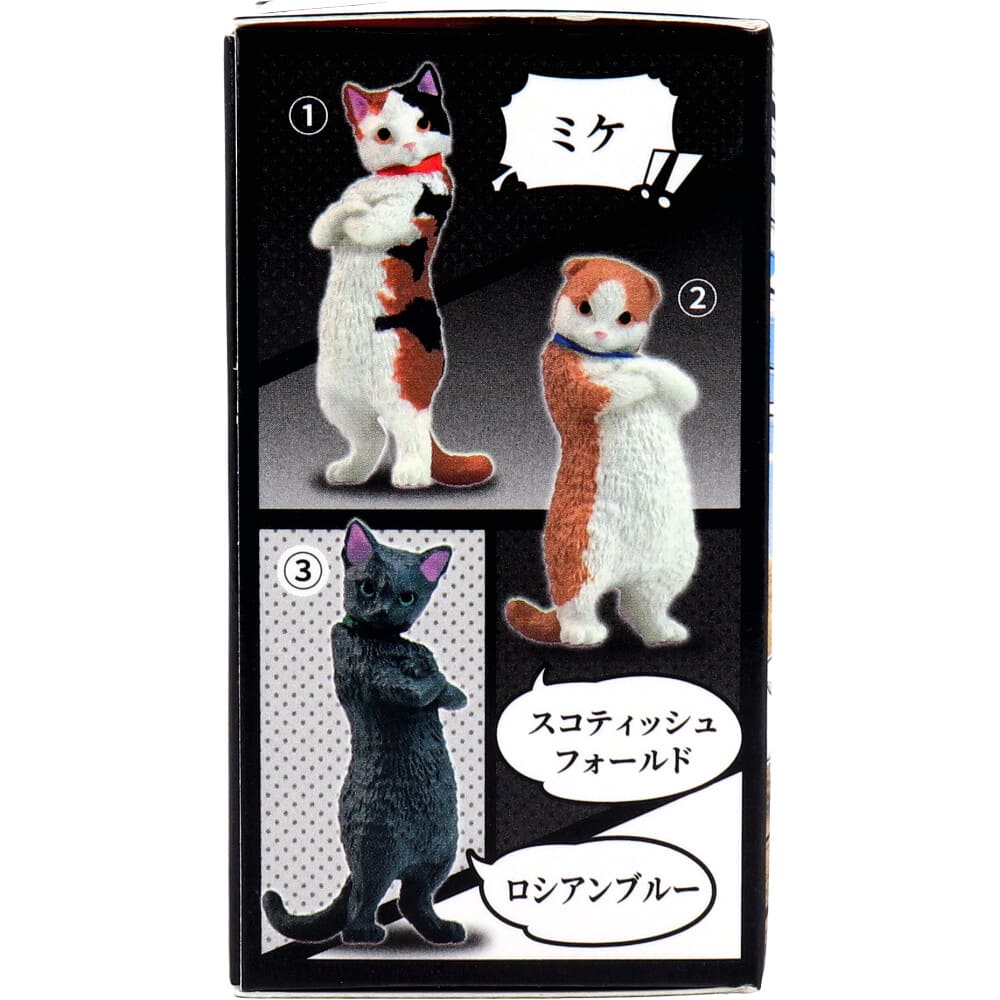 フィギュア ズン！！ BOX 1個入