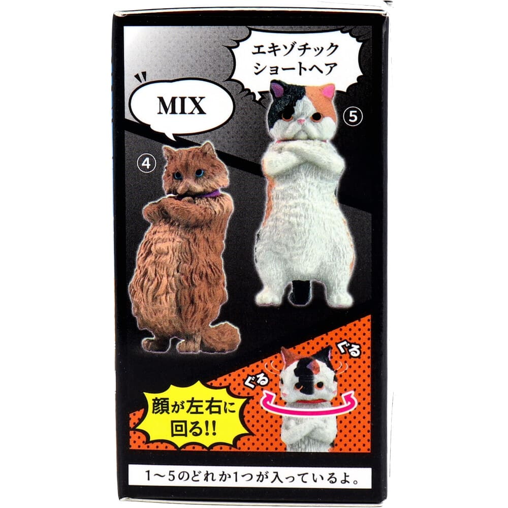 フィギュア ズン！！ BOX 1個入