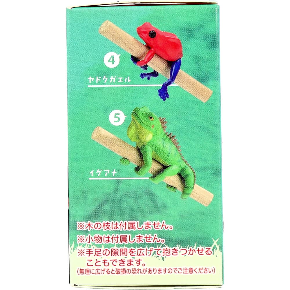 フィギュア どこでも抱きつき！レオパチャーム BOX 1個入