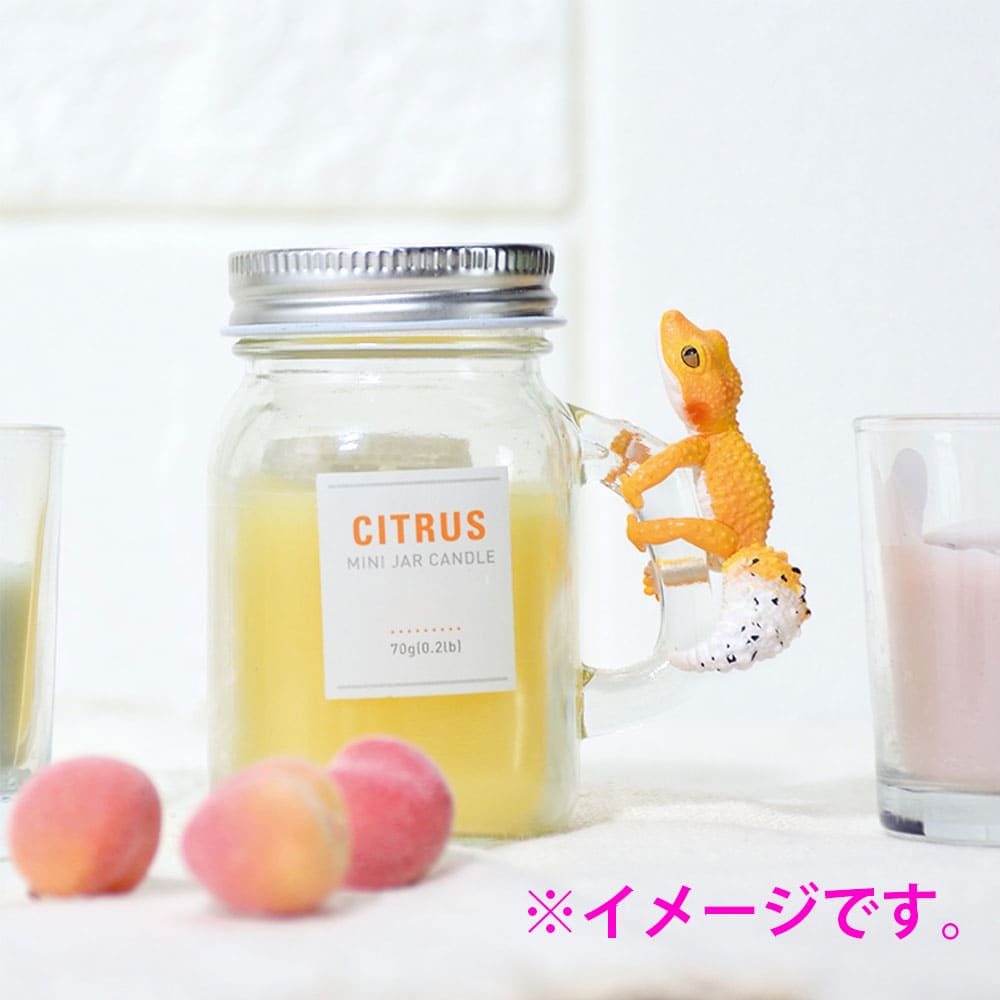 フィギュア どこでも抱きつき！レオパチャーム BOX 1個入
