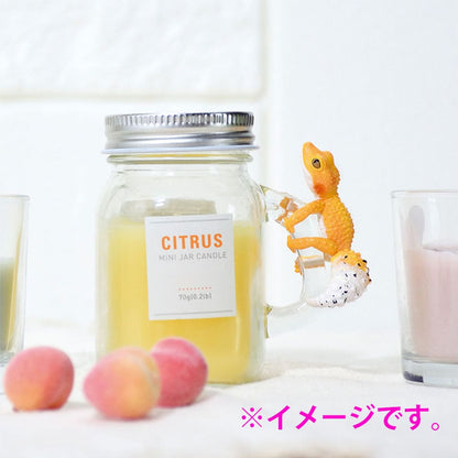 フィギュア どこでも抱きつき！レオパチャーム BOX 1個入